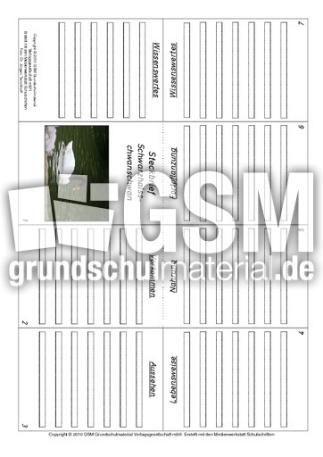 Faltbuch-Schwarzhalsschwanschwan.pdf